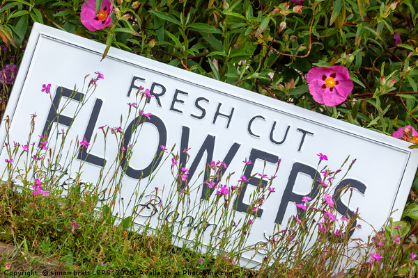 Garden flowers with fresh cut flower sign 0718 Picture Board by Simon Bratt LRPS