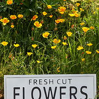 Buy canvas prints of Garden flowers with fresh cut flower sign 0749 by Simon Bratt LRPS