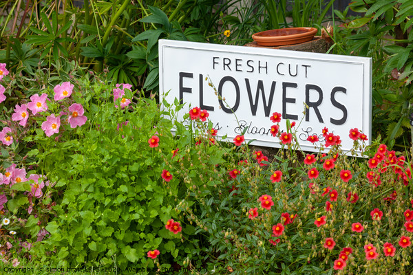 Garden flowers with fresh cut flower sign 0735 Picture Board by Simon Bratt LRPS