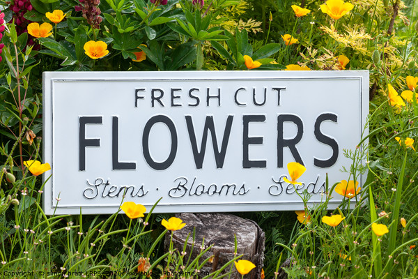 Garden flowers with fresh cut flower sign 0770 Picture Board by Simon Bratt LRPS