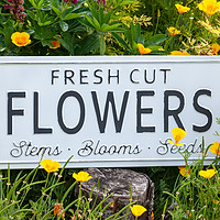 Buy canvas prints of Garden flowers with fresh cut flower sign 0770 by Simon Bratt LRPS