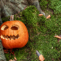Buy canvas prints of Scary halloween pumpkin in the woods by Simon Bratt LRPS