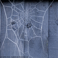 Buy canvas prints of Spiders web on fence covered in ice by Simon Bratt LRPS