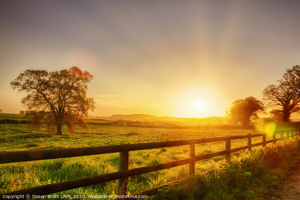 Rural sunrise over fenced field Picture Board by Simon Bratt LRPS