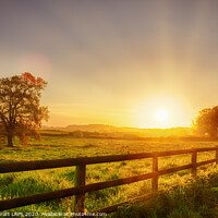 Buy canvas prints of Rural sunrise over fenced field by Simon Bratt LRPS