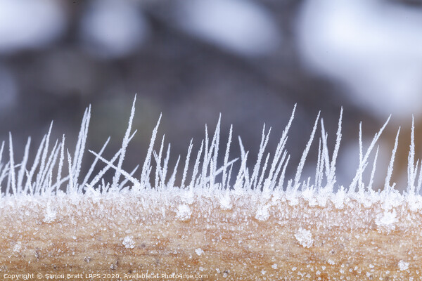 Ice crystals forming spikes in macro Picture Board by Simon Bratt LRPS