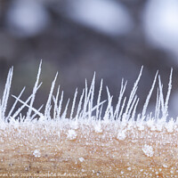 Buy canvas prints of Ice crystals forming spikes in macro by Simon Bratt LRPS