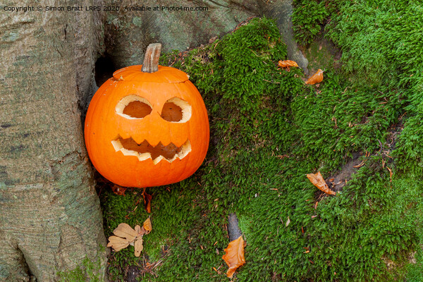 Scary halloween pumpkin in the woods Picture Board by Simon Bratt LRPS