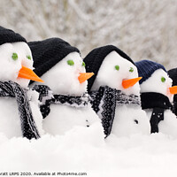 Buy canvas prints of Snowmen close up in a row by Simon Bratt LRPS