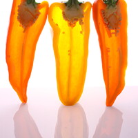 Buy canvas prints of Peppers in half with light through them by Simon Bratt LRPS