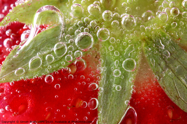 Strawberries in water close up Picture Board by Simon Bratt LRPS
