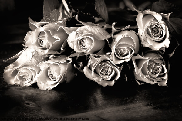 Roses on a table in black and white Picture Board by Simon Bratt LRPS