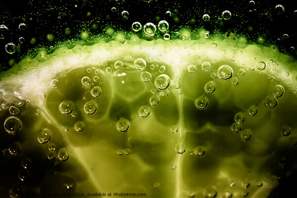 Lime slice in fizzy water Picture Board by Simon Bratt LRPS