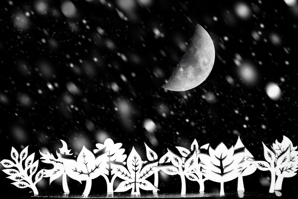 Fantasy winter trees with moon and snow Picture Board by Simon Bratt LRPS