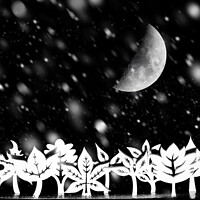 Buy canvas prints of Fantasy winter trees with moon and snow by Simon Bratt LRPS