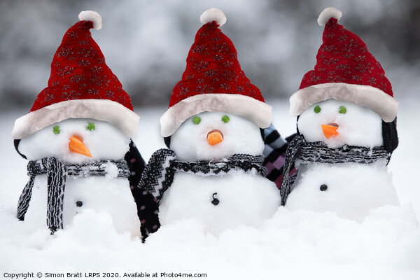 Snowmen with Christmas hats Picture Board by Simon Bratt LRPS