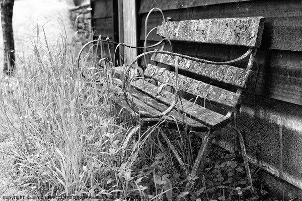 Old garden bench decaying mono Picture Board by Simon Bratt LRPS
