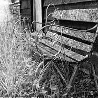 Buy canvas prints of Old garden bench decaying mono by Simon Bratt LRPS