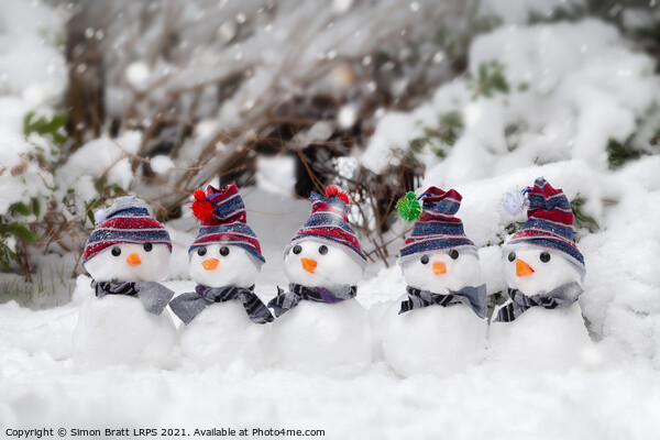 Five cute snowmen dressed for winter Picture Board by Simon Bratt LRPS