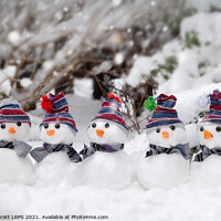 Buy canvas prints of Five cute snowmen dressed for winter by Simon Bratt LRPS