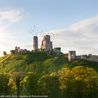 Buy canvas prints of Corfe Castle ruin sunrise in Dorset England by Simon Bratt LRPS