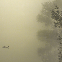 Buy canvas prints of  misty morning by steven stain