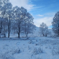 Buy canvas prints of  Snow in the Glen by Dawn Rigby