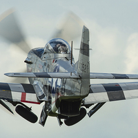 Buy canvas prints of  Mustang P51D "Marinell" gear up! by Max Stevens