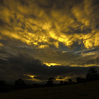 Buy canvas prints of  Yellow sunset by Max Stevens