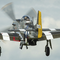 Buy canvas prints of  Mustang P51D "Janie" gear up! by Max Stevens