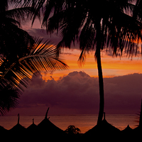 Buy canvas prints of  Tropical sunrise by Max Stevens