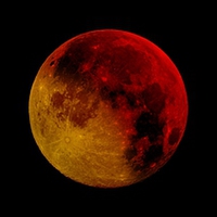 Buy canvas prints of  Blood Moon in three phases by Max Stevens