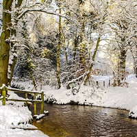 Buy canvas prints of  Snowy winter glade by Max Stevens