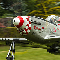 Buy canvas prints of Mustang P51D "Marinell" full power take off by Max Stevens
