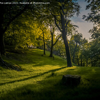 Buy canvas prints of Forest of Bowland by Derrick Fox Lomax