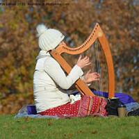 Buy canvas prints of Heaton park harp player by Derrick Fox Lomax