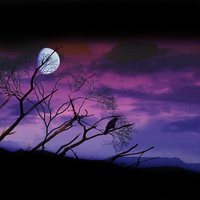 Buy canvas prints of  moonlight over lancashire by Derrick Fox Lomax