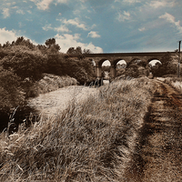 Buy canvas prints of  The arches by Derrick Fox Lomax