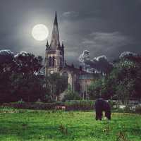 Buy canvas prints of  moonlight and church horse by Derrick Fox Lomax