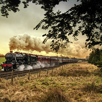 Buy canvas prints of  Steam train by Derrick Fox Lomax