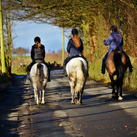 Buy canvas prints of  Countryside horse riders by Derrick Fox Lomax