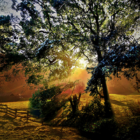 Buy canvas prints of  sunny countryside by Derrick Fox Lomax