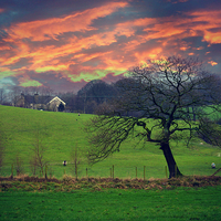 Buy canvas prints of  countryside Evening by Derrick Fox Lomax