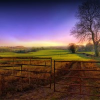 Buy canvas prints of morning meadows sunrise by Derrick Fox Lomax