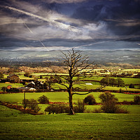 Buy canvas prints of countryside view by Derrick Fox Lomax