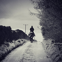 Buy canvas prints of Horse on the lane by Derrick Fox Lomax