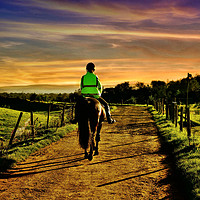 Buy canvas prints of Lone Horse Rider by Derrick Fox Lomax