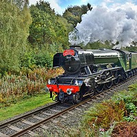Buy canvas prints of The flying scotsman at burrs by Derrick Fox Lomax