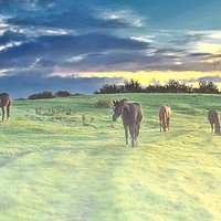 Buy canvas prints of  Misty Sunrise horses by Derrick Fox Lomax
