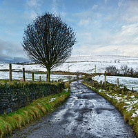Buy canvas prints of A winter scene by Derrick Fox Lomax